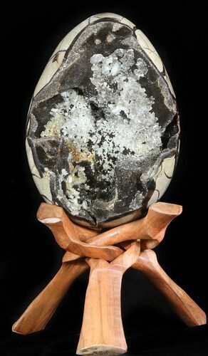 Huge, Septarian Dragon Egg Geode - Crystal Filled #50826